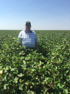 Subsurface drip irrigation produces better cotton yields - dhagservices.com