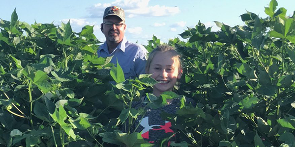 standing in high cotton with subsurface drip irrigation - dhirrigation.com