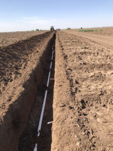 subsurface drip irrigation