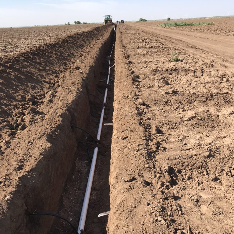 subsurface drip irrigation
